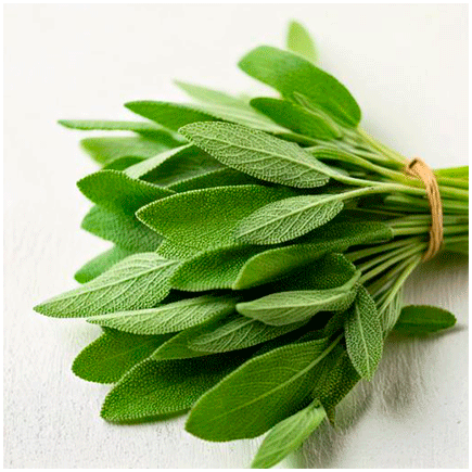 Natural Sage flavouring